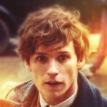 Newt Scamander