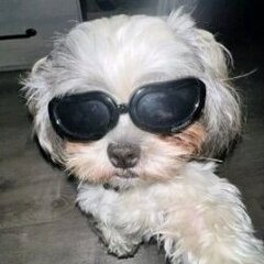 pietrooo1